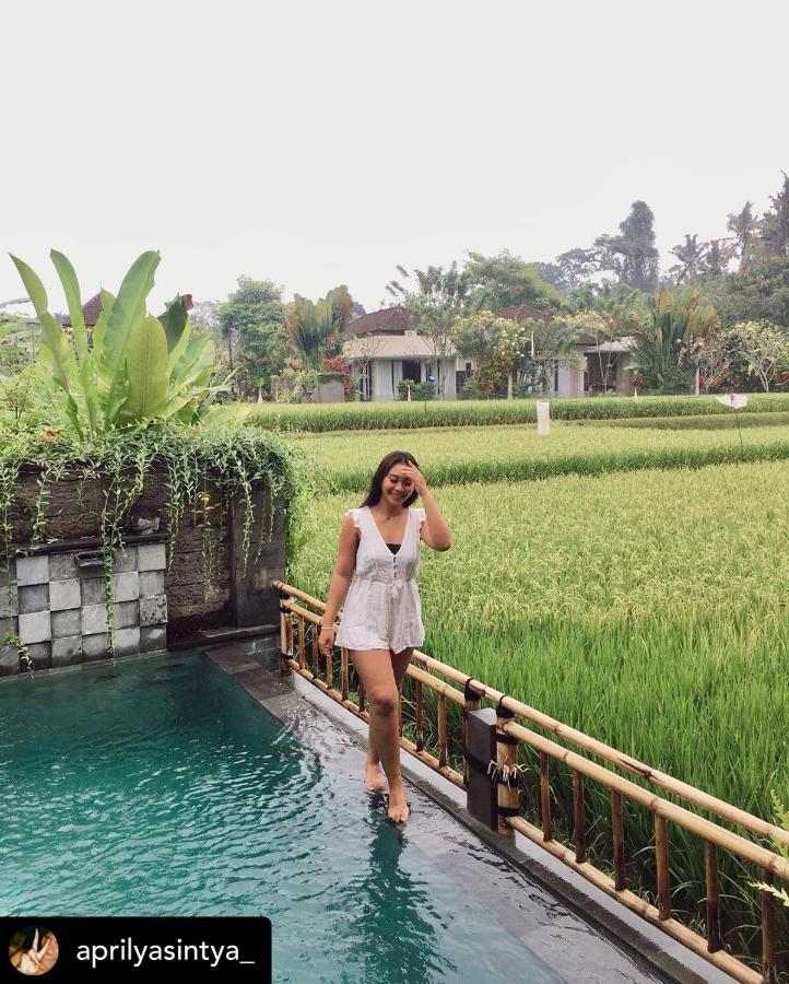 Nirankara Private Pool Villa - By Ubud Paradise Екстериор снимка