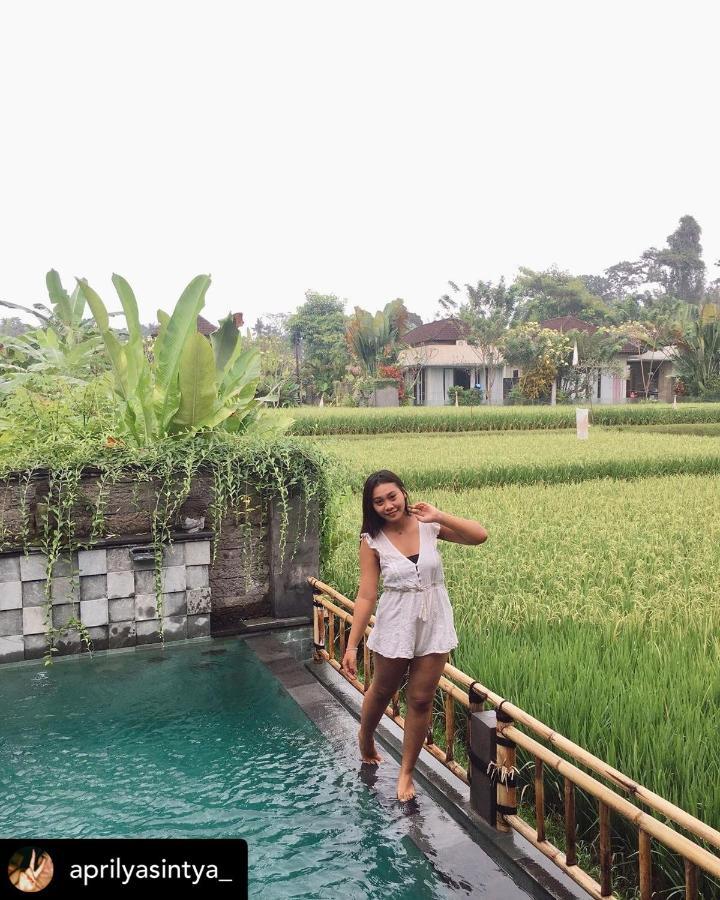 Nirankara Private Pool Villa - By Ubud Paradise Екстериор снимка